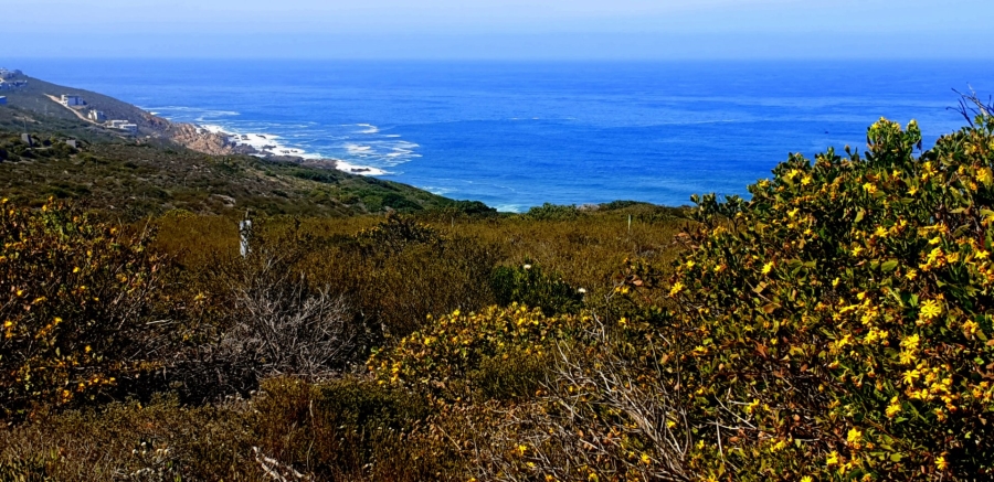 Commercial Property for Sale in Paradise Coast Western Cape